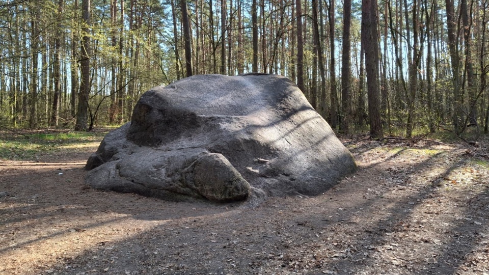 „Kamień Świętego Wojciecha” lub, jak kto woli, „Diabelski Kamień”/fot. Marcin Doliński