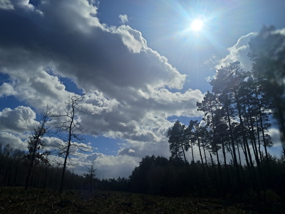 Ostrzeżenia dotyczą m.in. Kujawsko-Pomorskiego/fot. Magdalena Gill