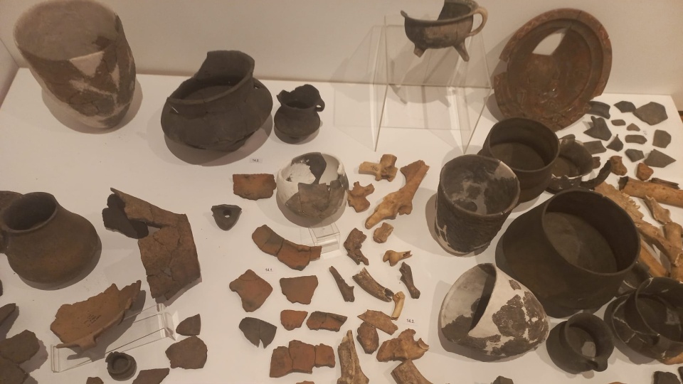 „Autostradą do przeszłości” - wystawa archeologiczna we włocławskim muzeum/fot. Marek Ledwosiński