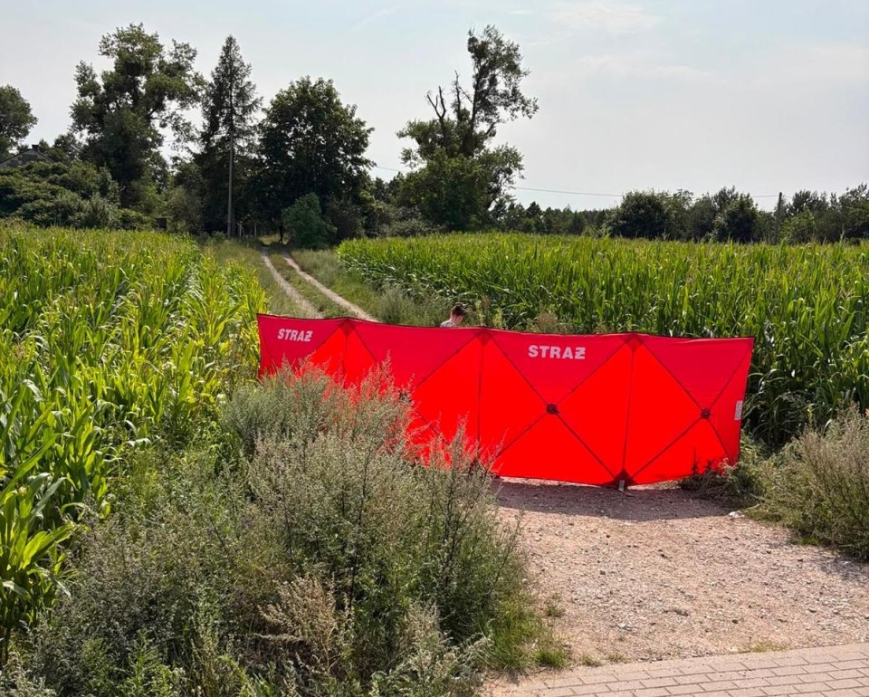 Do wypadku doszło na lokalnej drodze w miejscowości Lubówiec. / Fot. KM PSP w Toruniu
