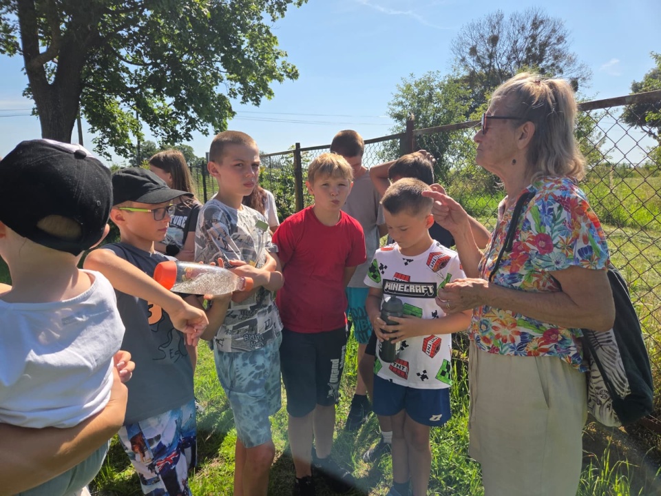 Przyrodnicze perły mijają codziennie. Teraz ktoś im je wskazał. Bioblitz w Bąkowie [zdjęcia, wideo]