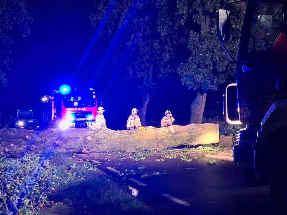Strażacy sprzątali po silnym wietrze w gminie Mogilno/ fot. OSP Jeziora Wielkie, OSP Dąbrowa