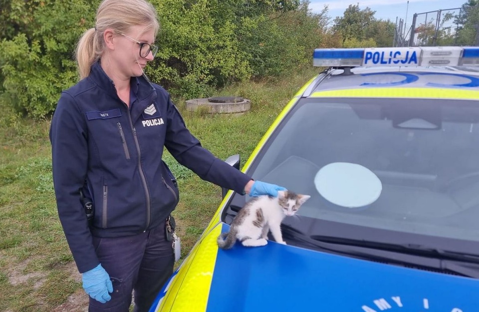 Policjanci zaopiekowali się kotem i przekazali go dalej. / Fot. Materiały policji